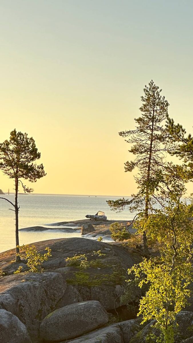 виды вдоль большой ладожской тропы летом