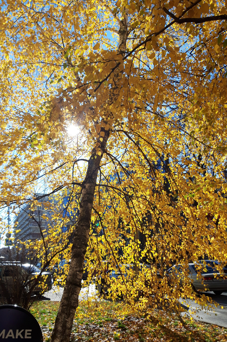 Фотография автора 