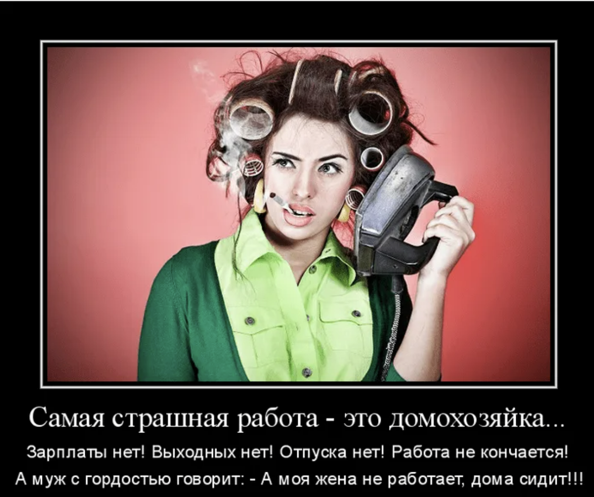 Прикол про домохозяйку