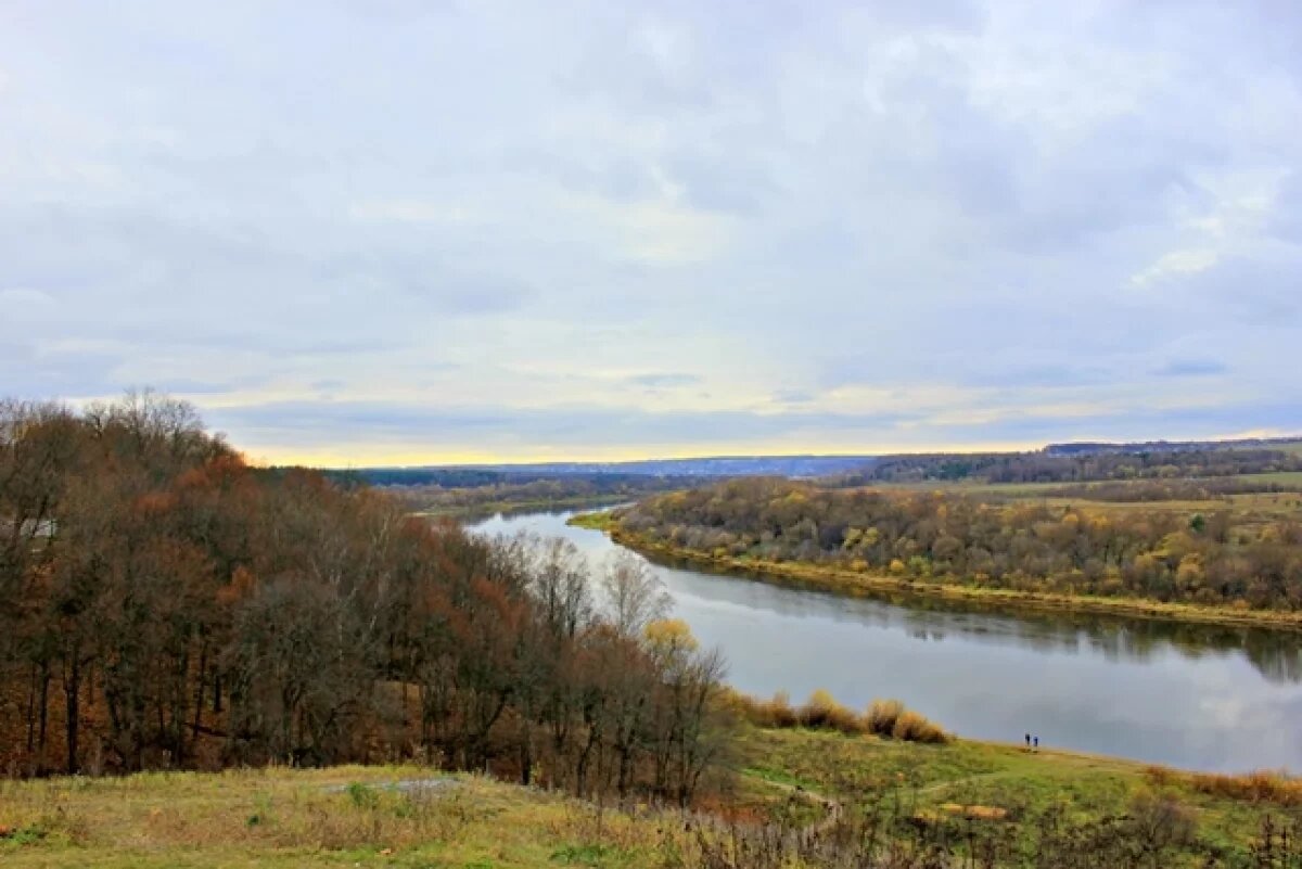    Власти под Волгоградом сдали в аренду землю, которая им не принадлежит