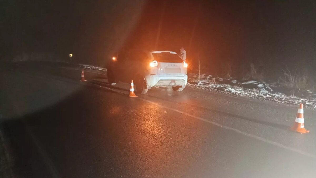     Источник: Пресс-служба ГАИ МВД по Удмуртской Республике