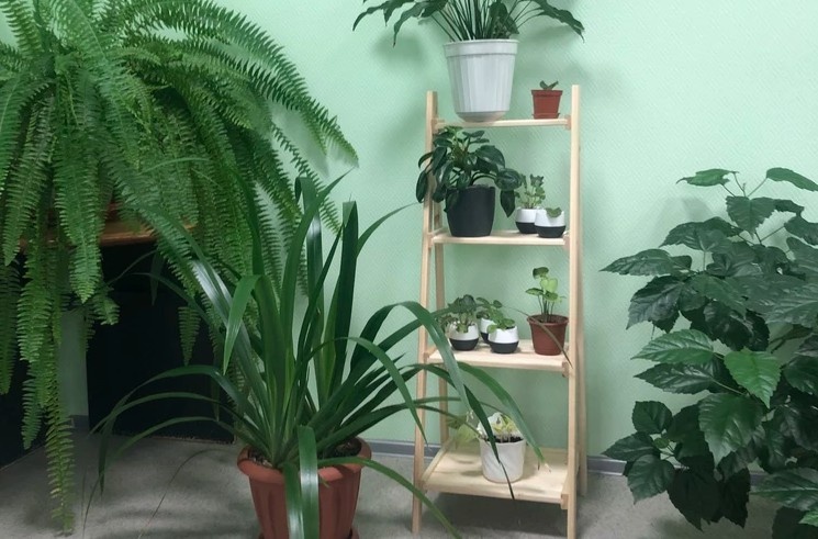 Артикул на сайте ВБ 257955203