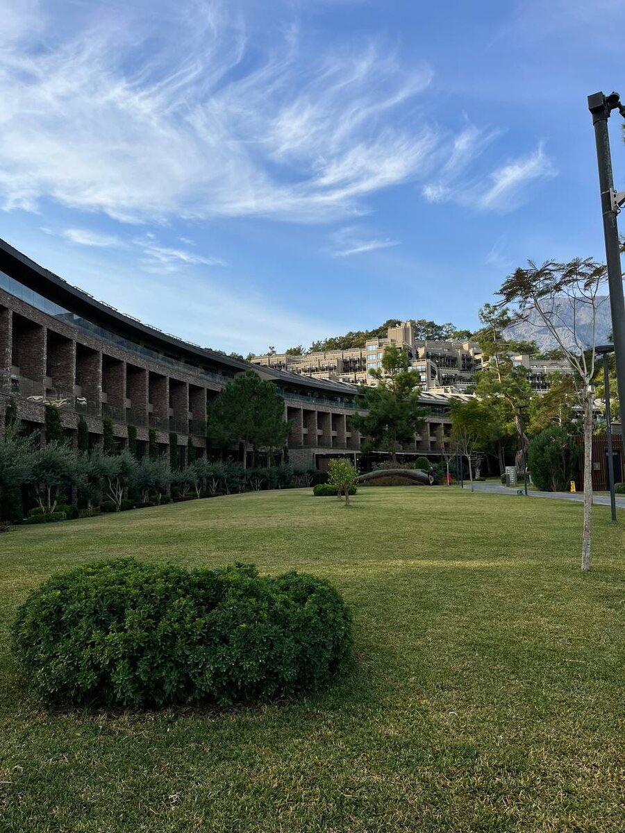 Территоррия 