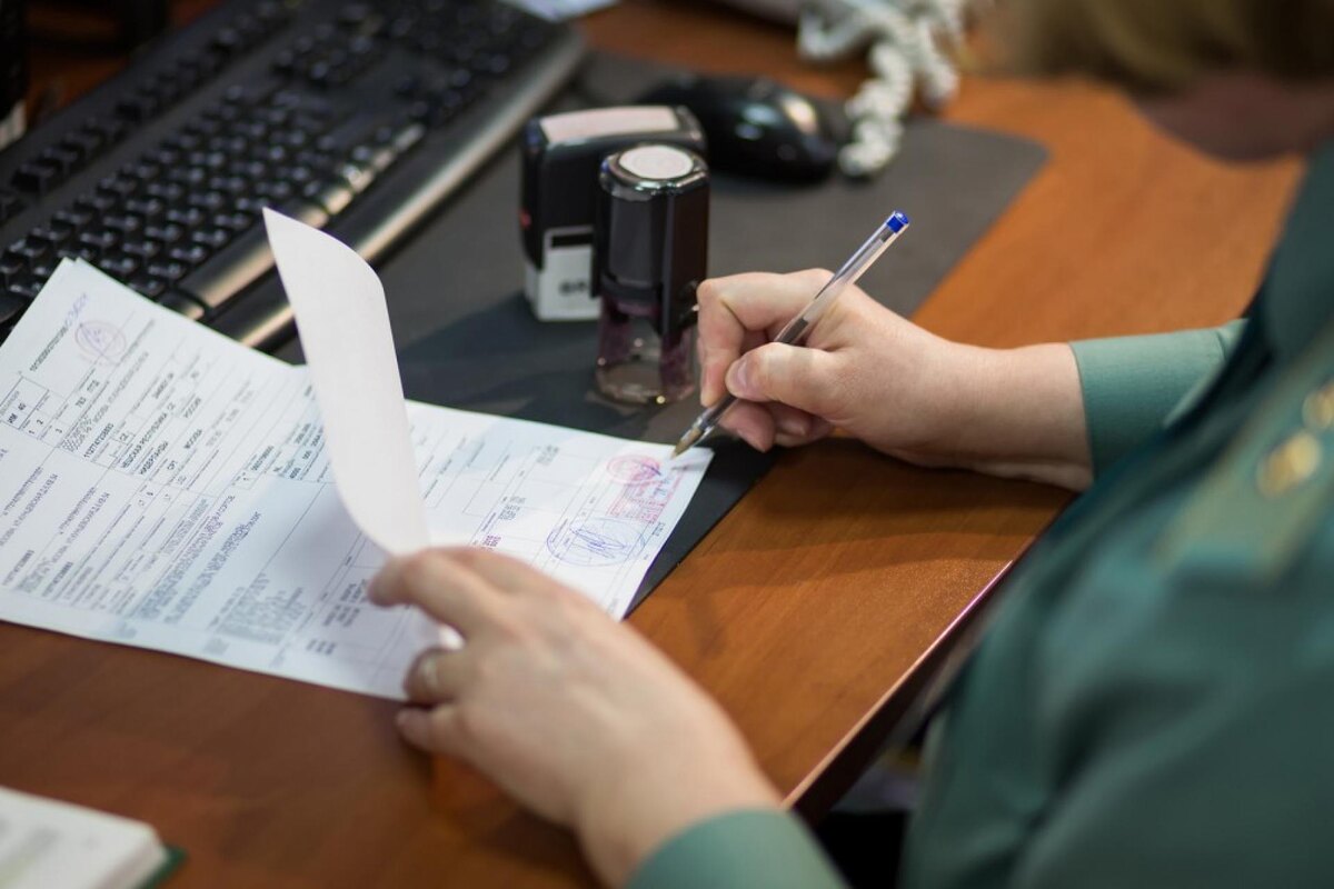 Фото: Losevsky Pavel / Фотобанк Лори