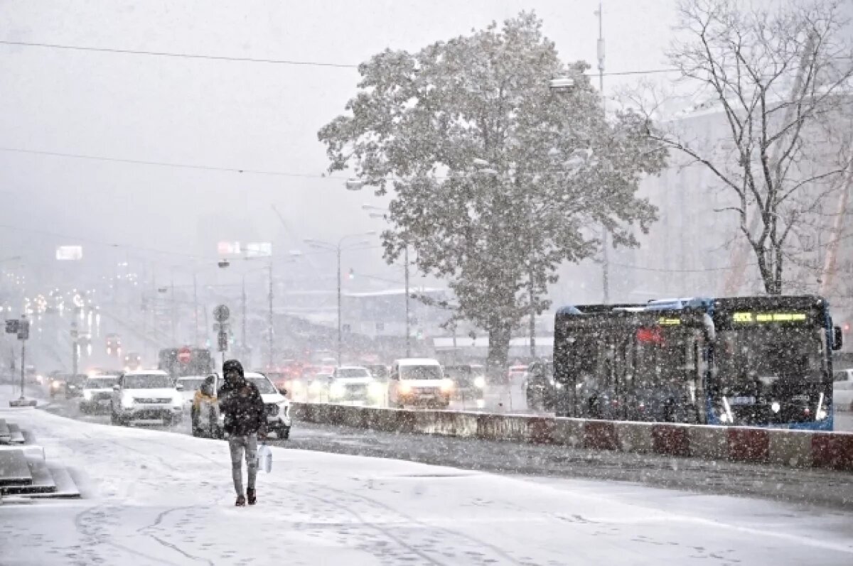    Синоптик Ильин: южный циклон принесет в Москву обильный снегопад