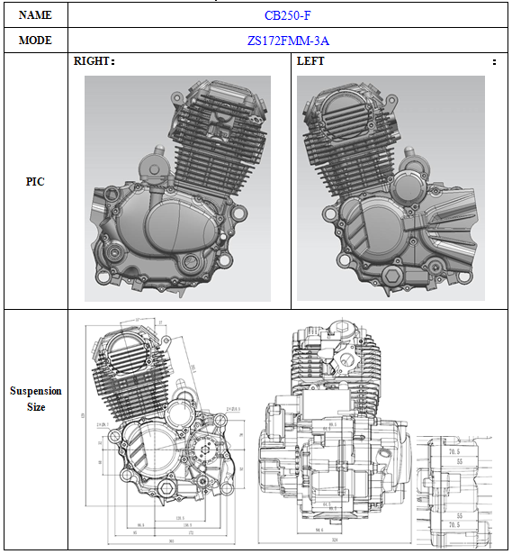 Двигатель ZONGSHEN (ZONSEN) CB250F (ZS172FMM-3A)