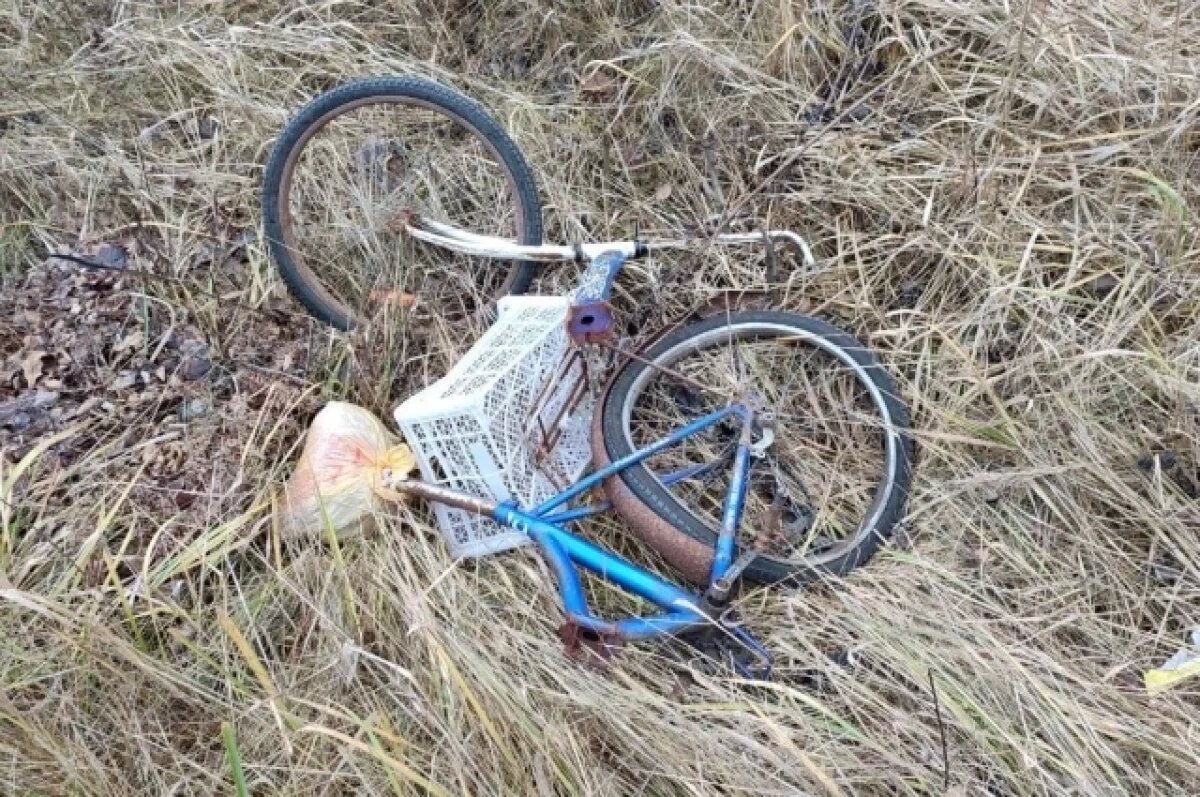    Водитель BMW сбил пешехода на брянской трассе