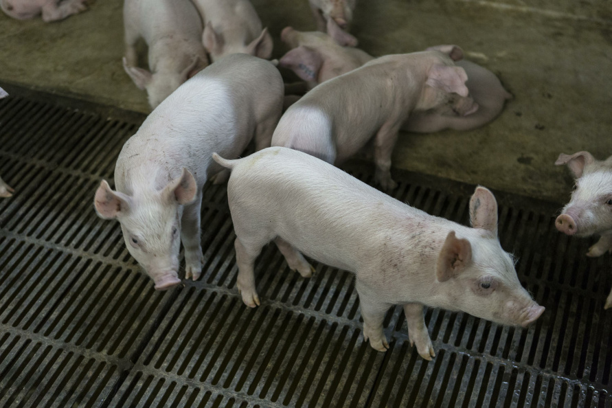    Nikolay Gyngazov/Russian Look