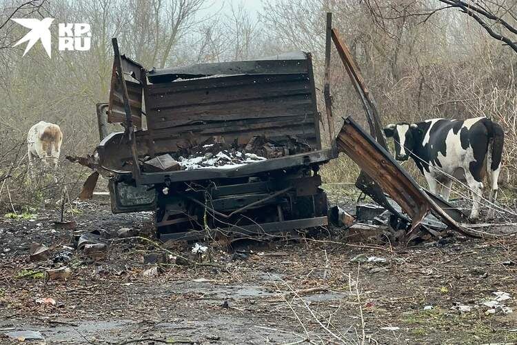    Фото: Александр Коц