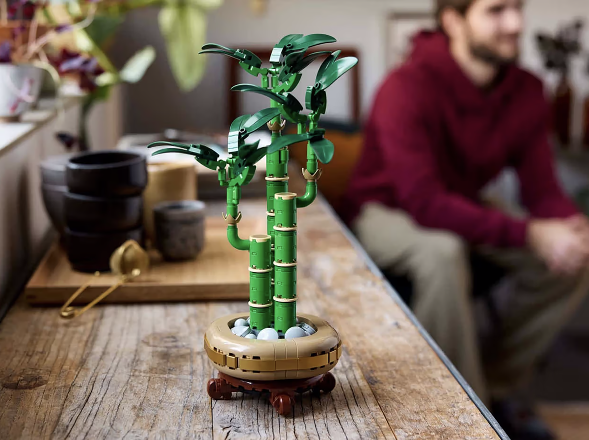 LEGO Botanicals представила четыре новых набора в серии «Флора»