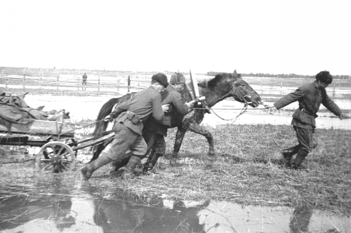 Ездовые санитарной роты