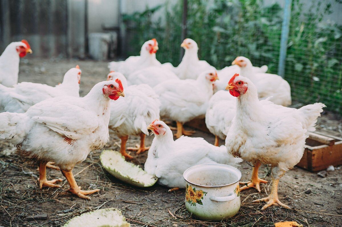 Источник: ru.pinterest.com