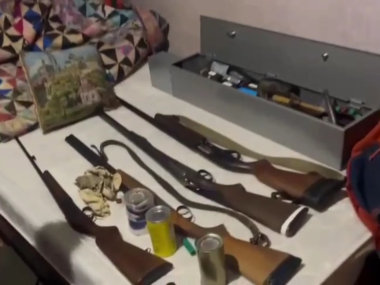 Фото: ГСУ СК по Московской области