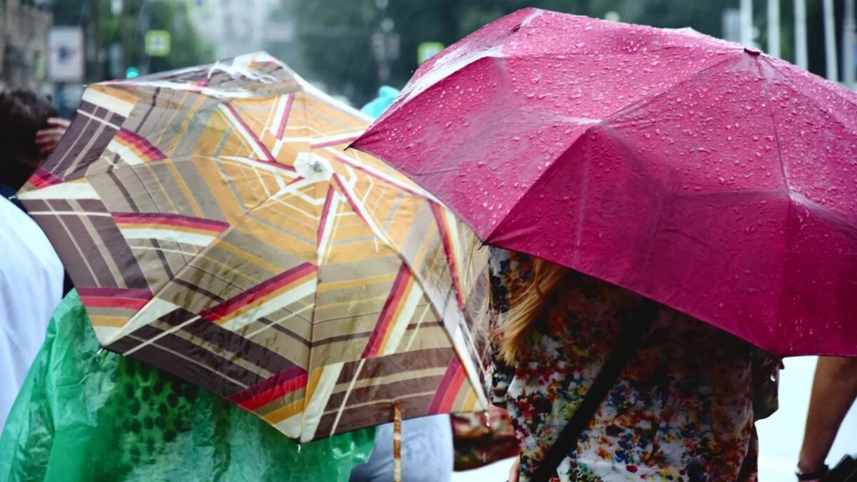     Источник: novostivolgograda.ru