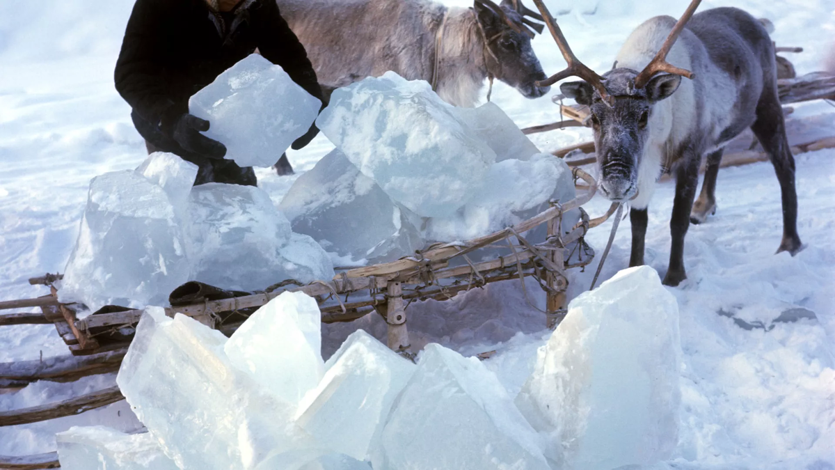 © photo: Sputnik / V. Jakovlev 