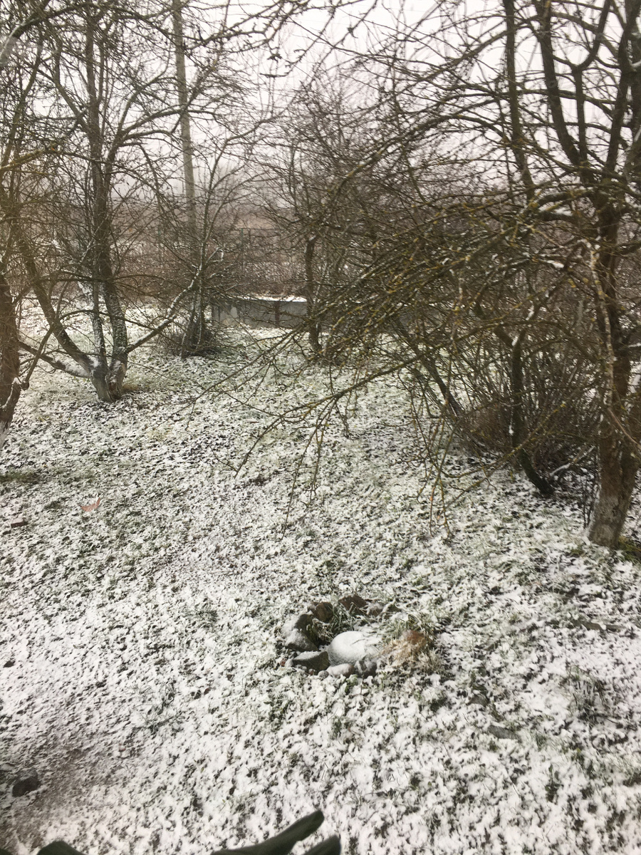 снежок вчерашний