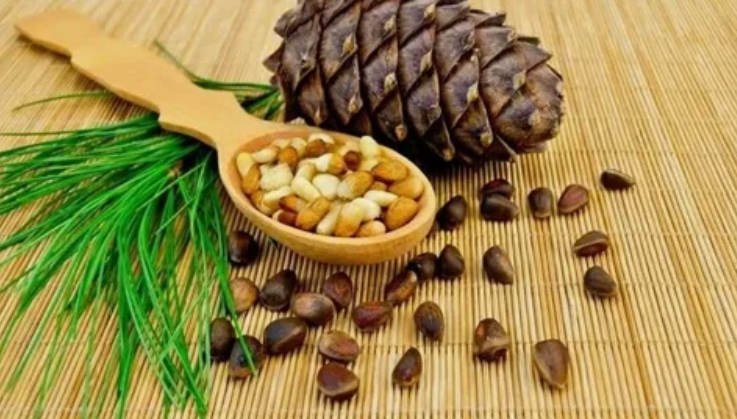 Кедровые орехи