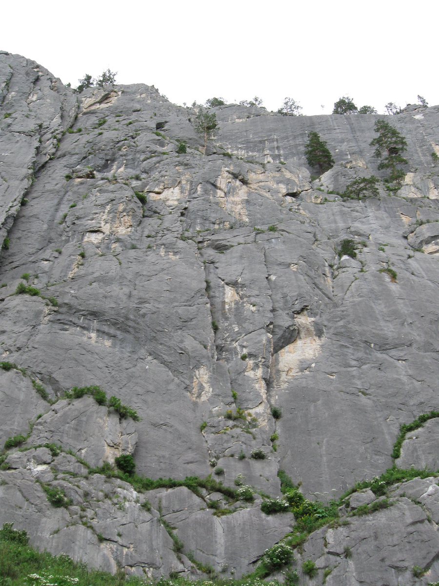 Известняковые скалы в урочище Че-Чкыш, долина реки Катунь, Алтайский край. Фото: взято из en.wikipedia.org