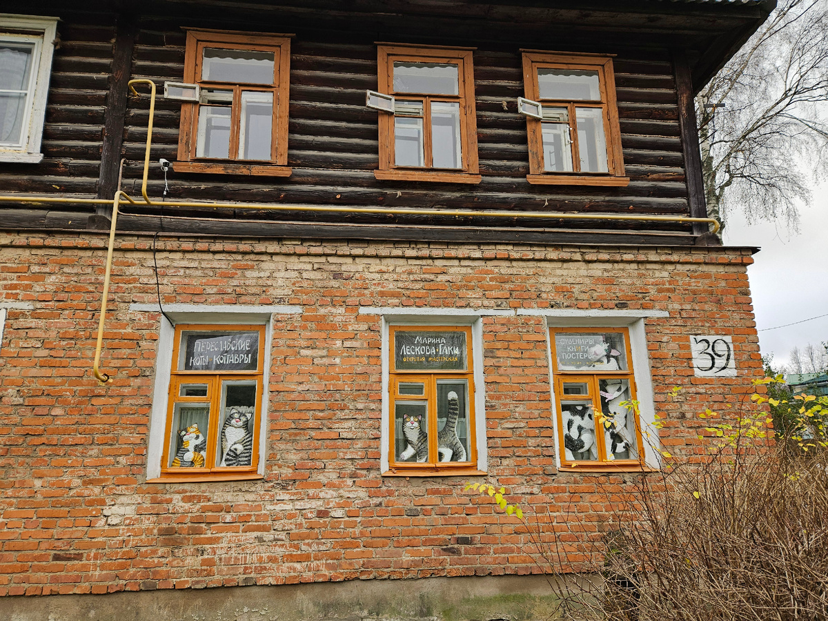 "Дом с котиками"