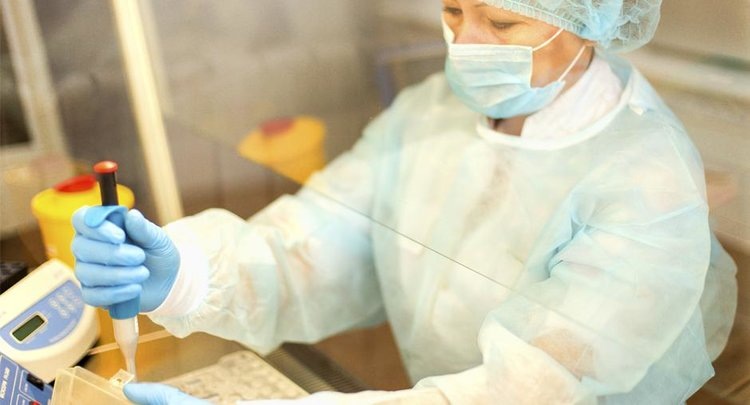    Эксперты в Курганской области впервые исследовали семена огурца на наличие опасных вирусов