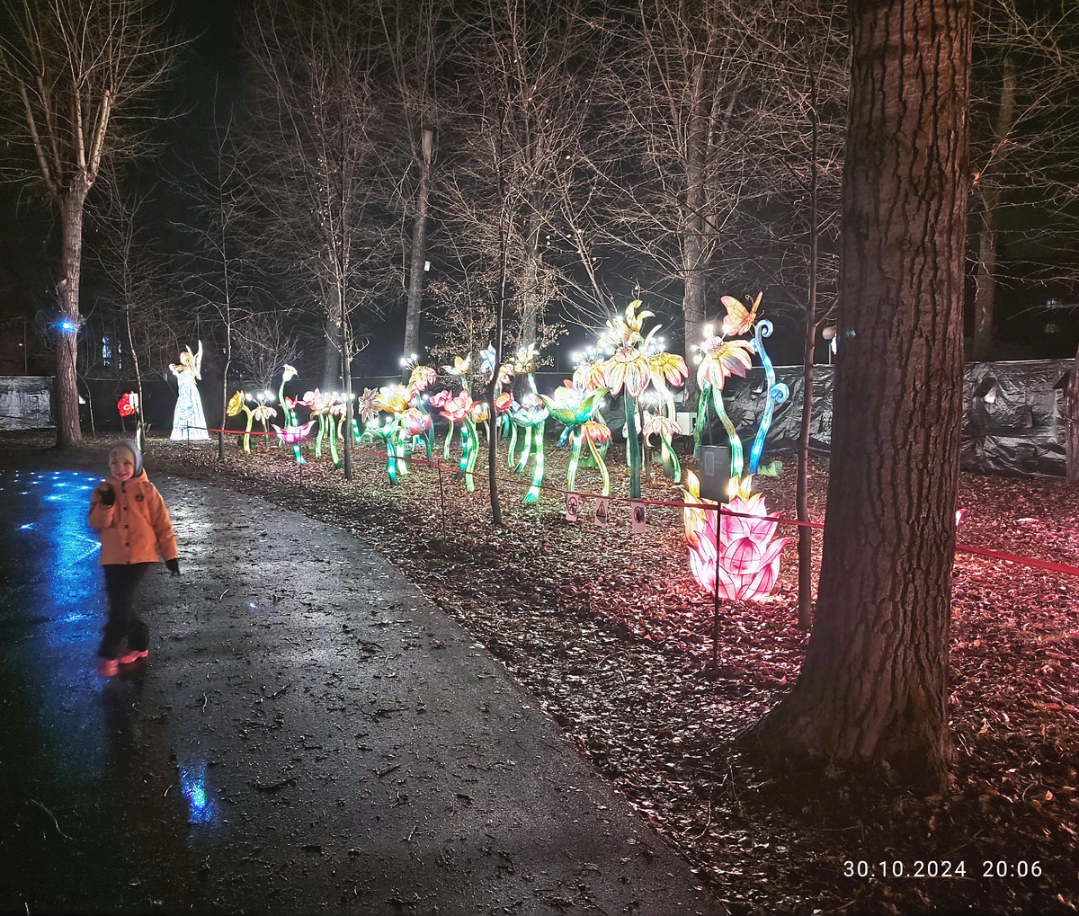Вадюха и волшебные цветы
