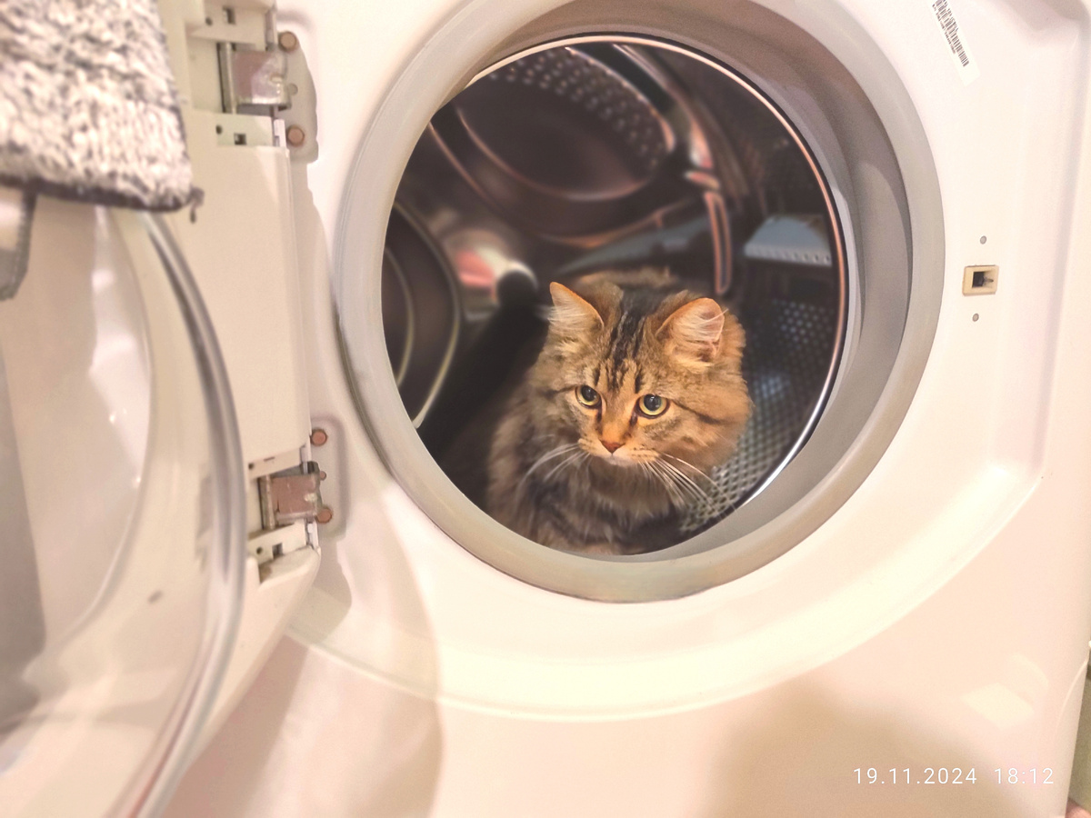 Ксения, простите, но как-то я не знаю, при троих детях у вас весь день машинка простаивает. Вы грязнуля, да? © кошка Масяня