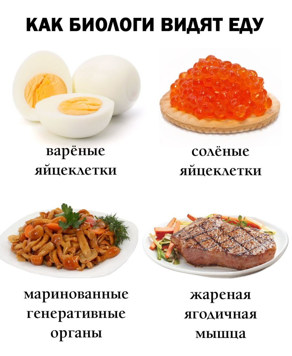 Главное, что вкусно!