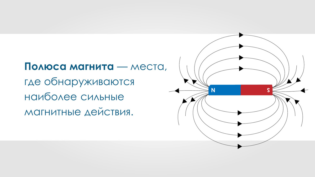 Оц полюс официальный сайт