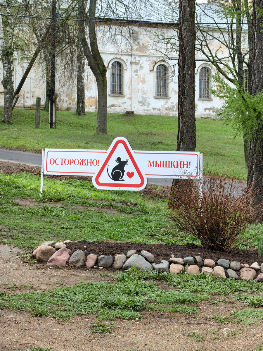 Осторожно! Мышкин!