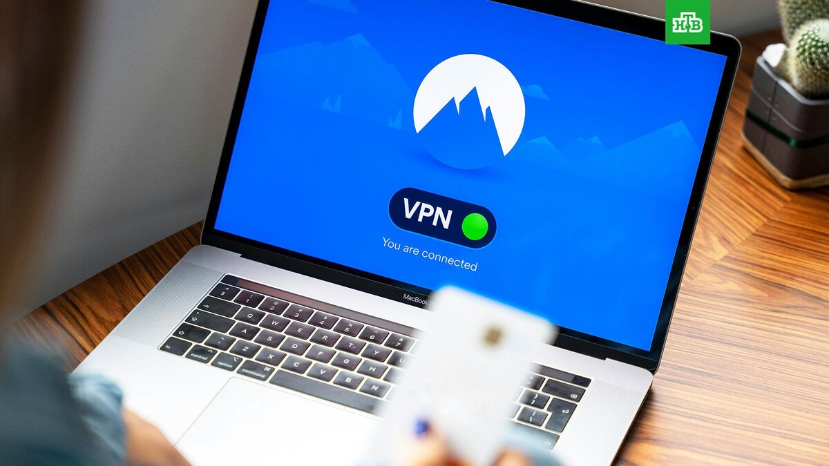    Фото: Petter Lagson / unsplash.com