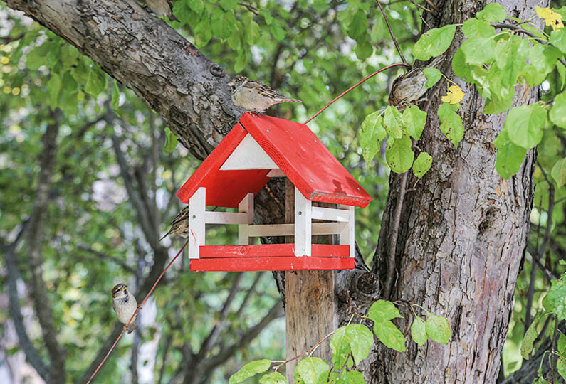 Фото: Михаил Гладчук