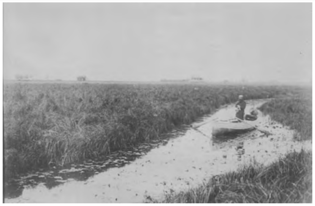 Охота в местах, ныне называемых "Птичья гавань". Фото начало ХХ века. Ссылка на источник в конце статьи