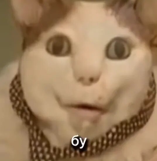 Бу, испугался? Именно с этого момента и начиается мем-видео