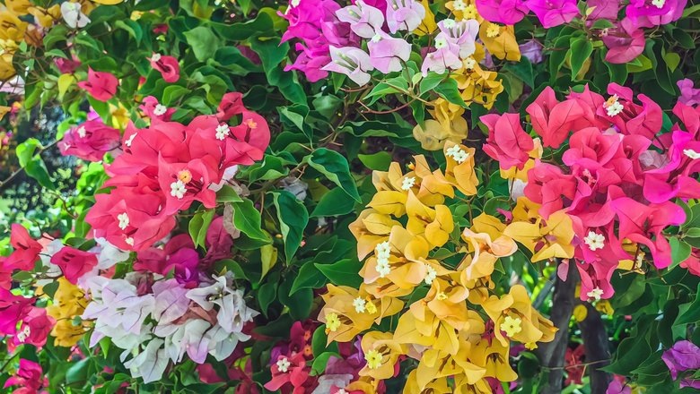 Источник: Shutterstock