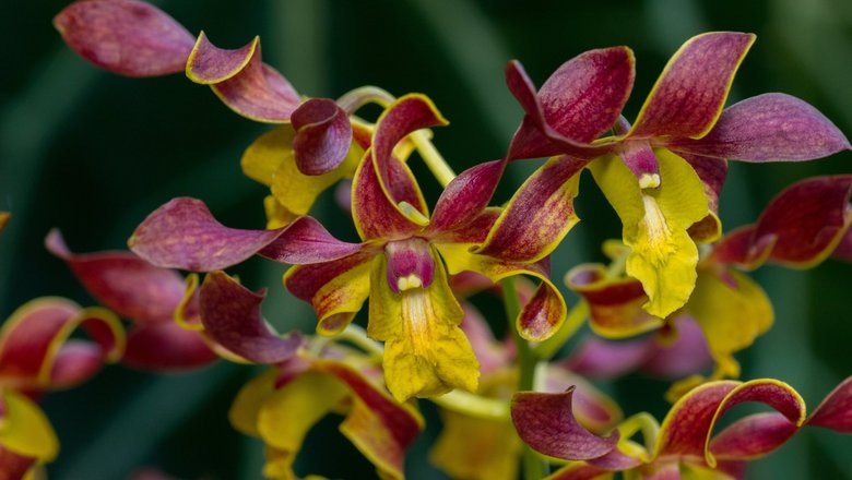 Источник: Shutterstock