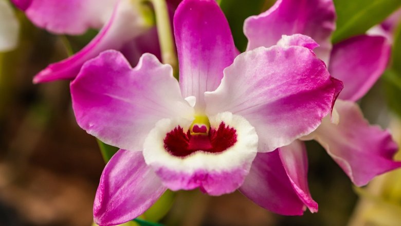 Источник: Shutterstock