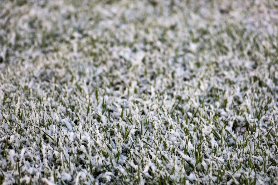    Elena Mayorova/Globallookpress