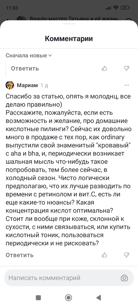 Скриншот сделан из комментариев под статьей автора канала 