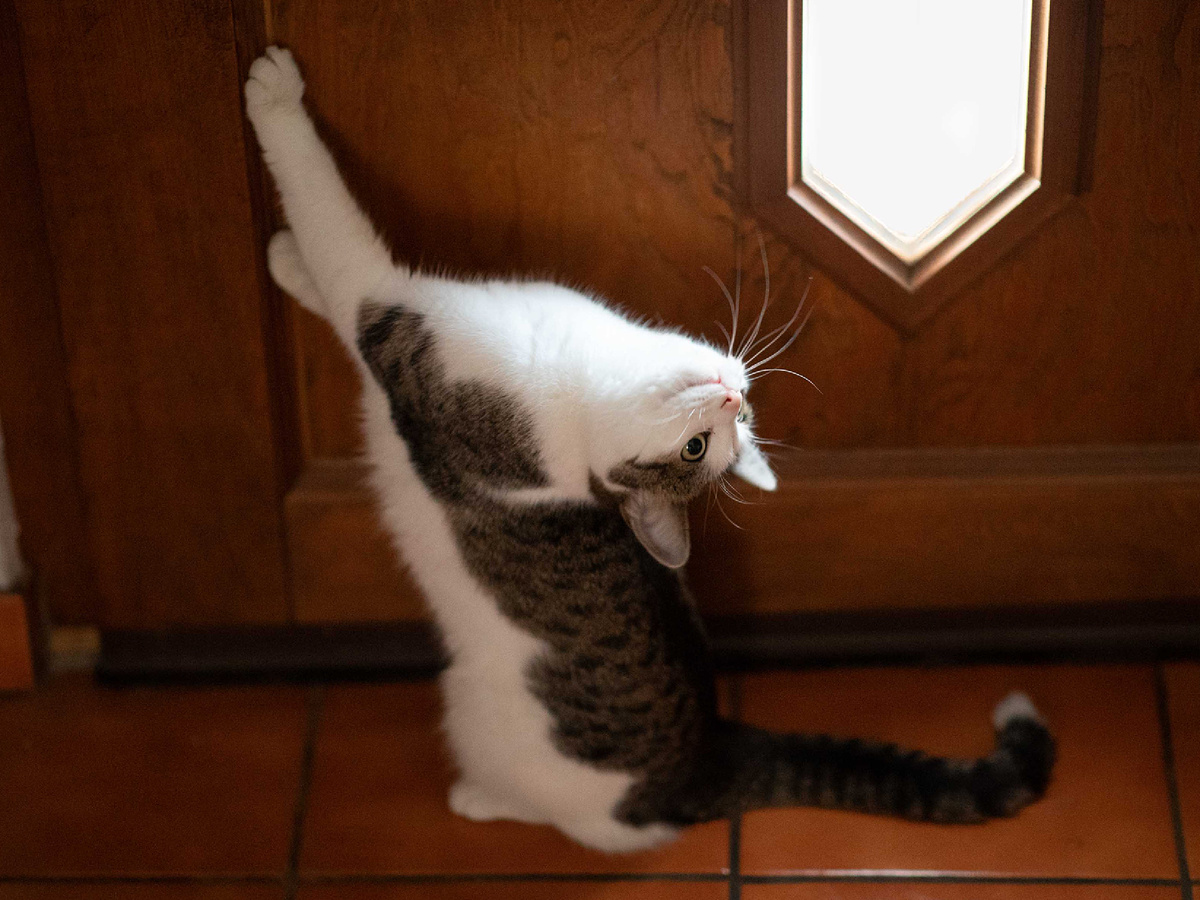 Фотография: Alexander Russy, CC BY-NC-ND 2.0.