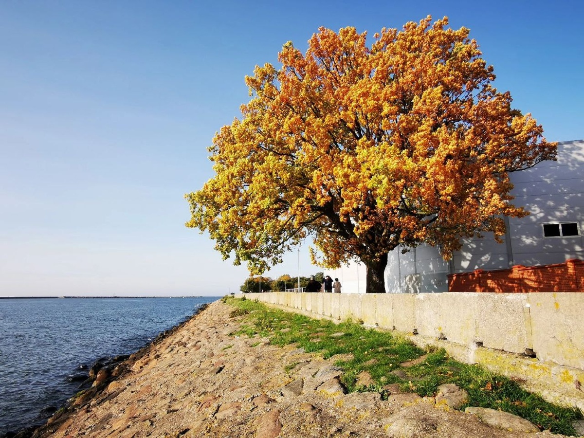 фото https://vk.com/id296798908