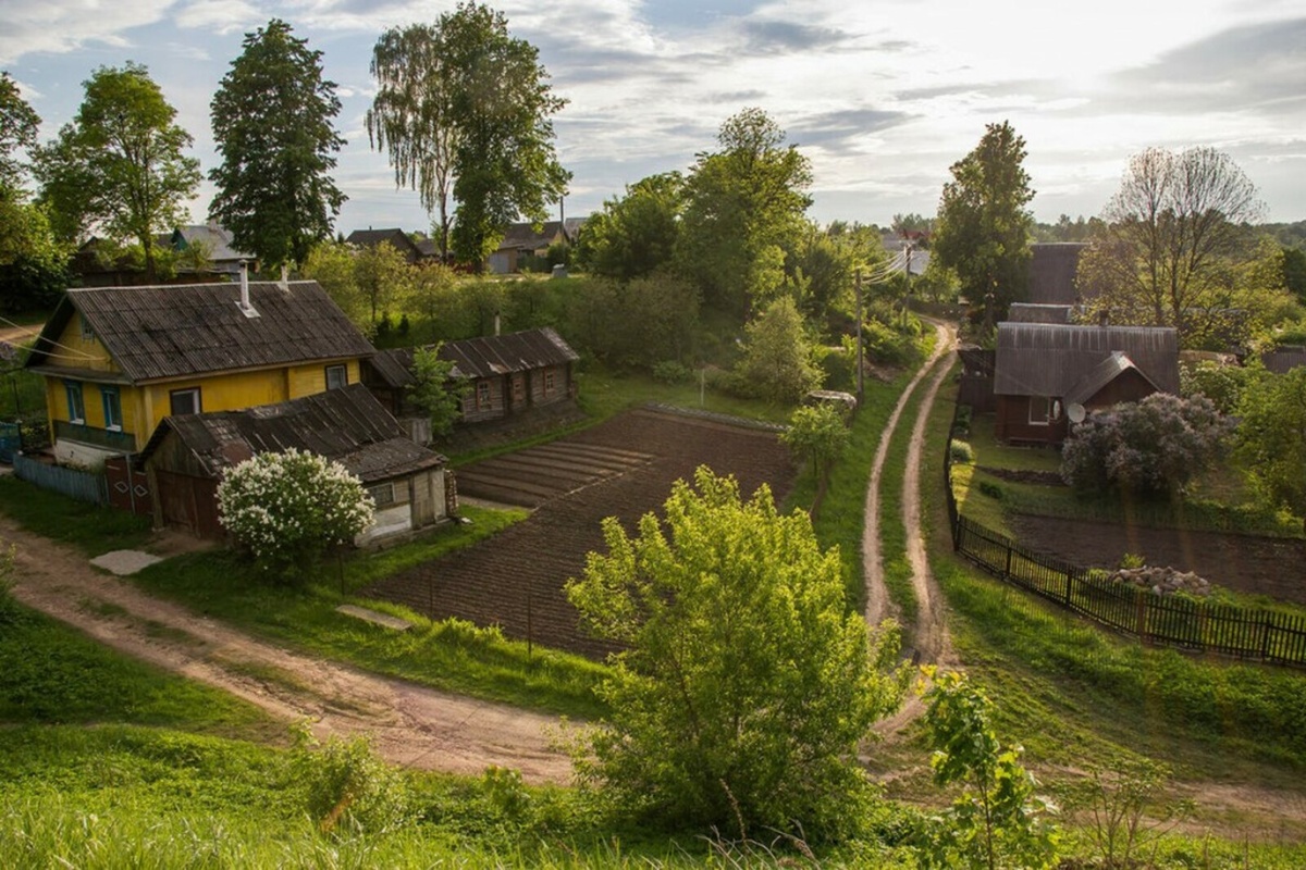 Яндекс. Картинки