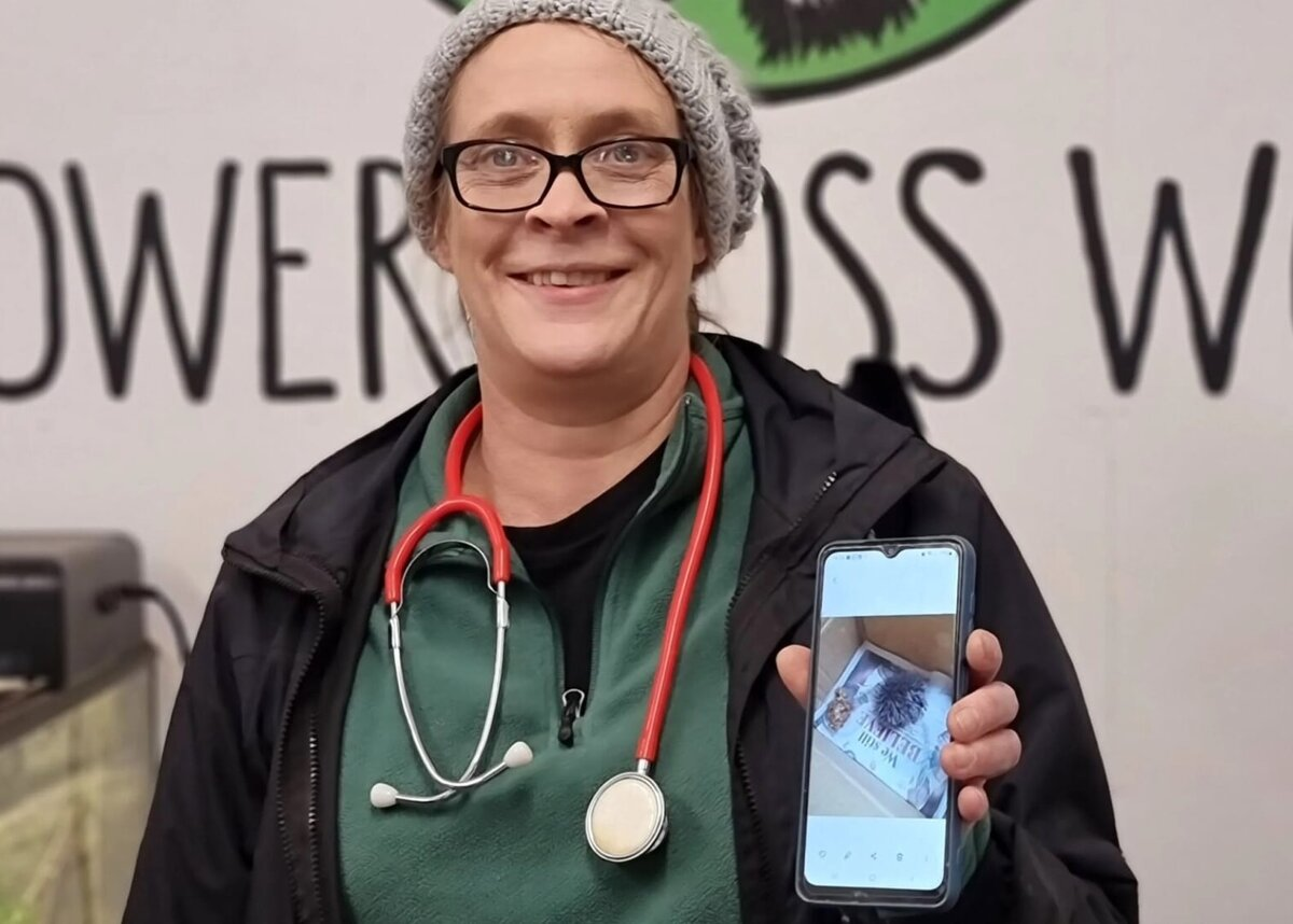 Ветеринар Джанет Котце