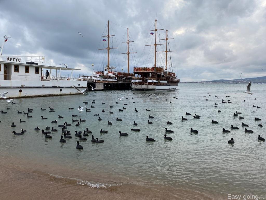 Геленджик в январе