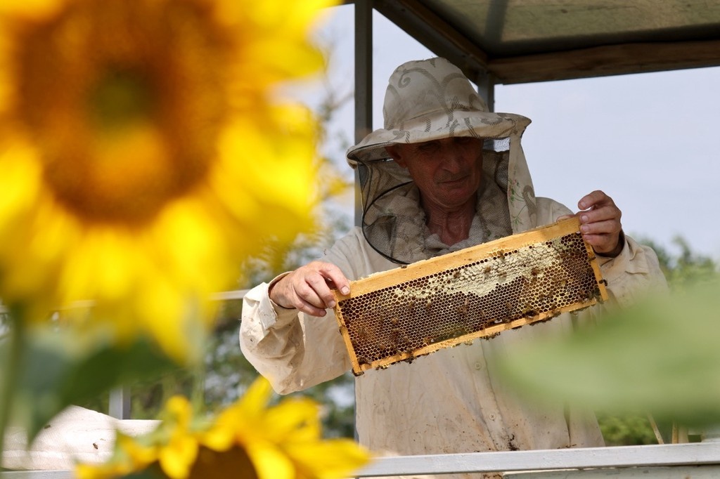    Фото © Алексей Коновалов / ТАСС