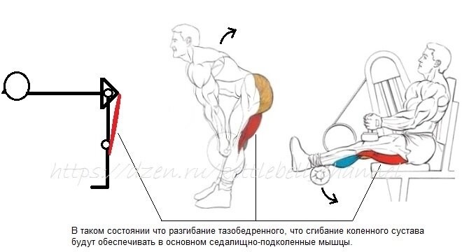 Картинка из моей статьи о становых тягах на канале