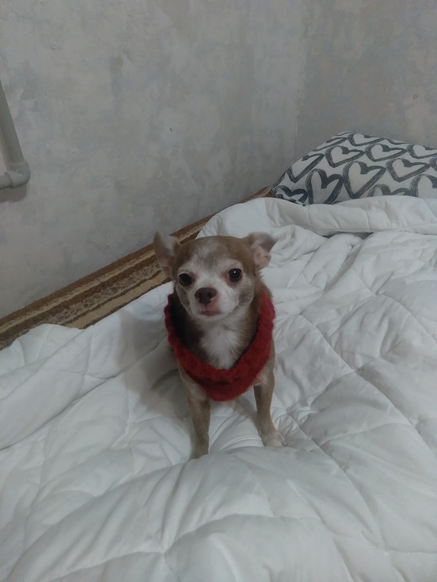 Дочка связала жилет тепленький.