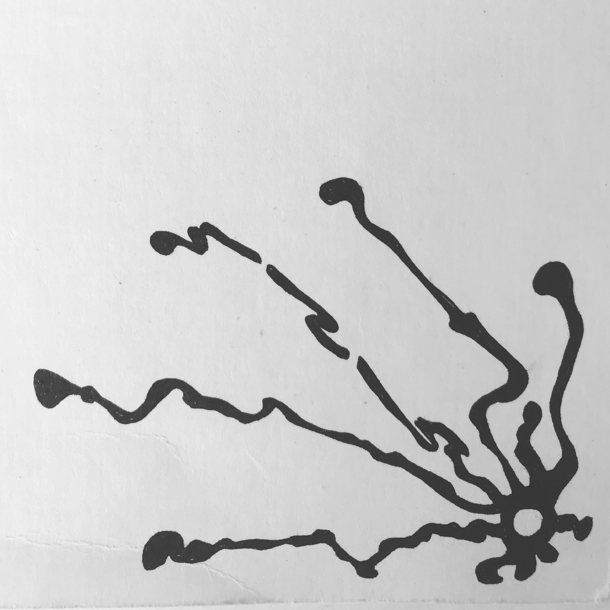 Рисунок Натальи Макеевой 