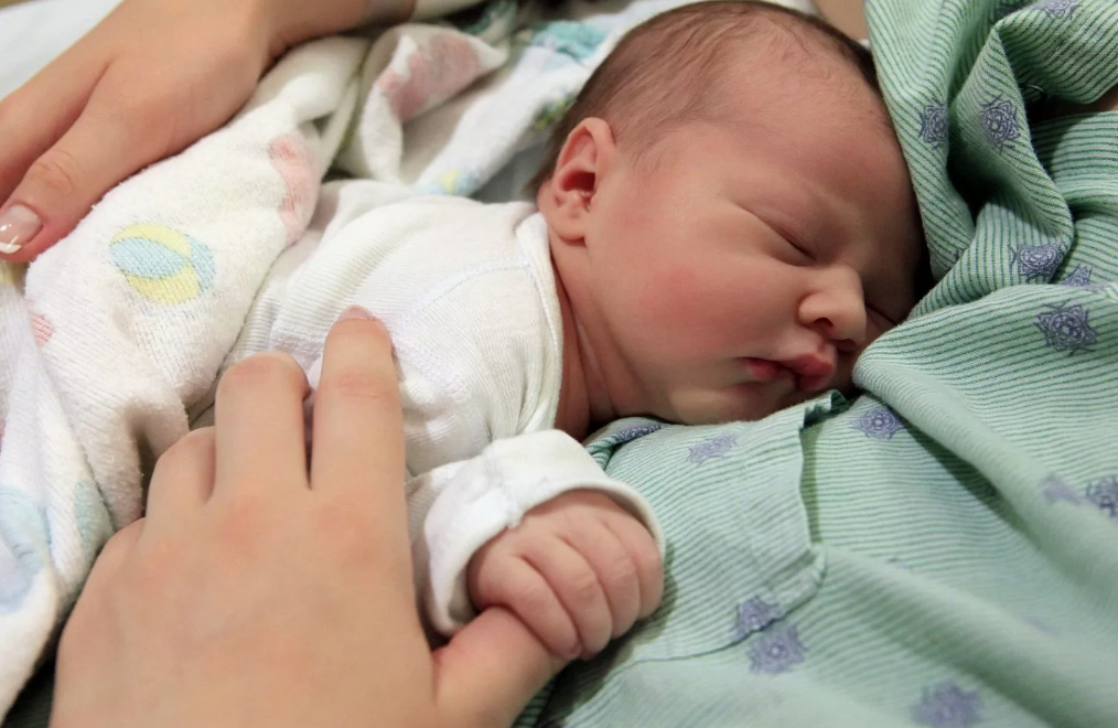 Фото: открытые источники