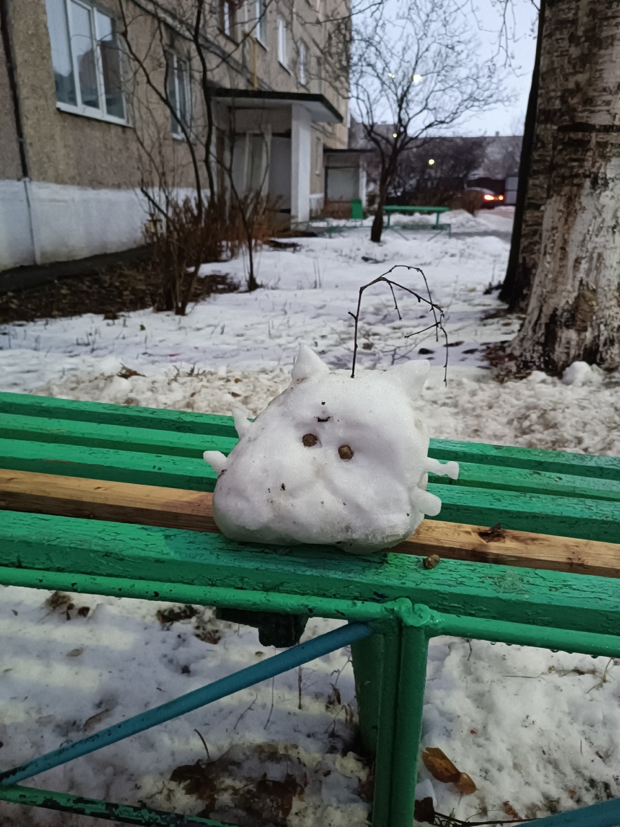 Ноябрьский утренний кот