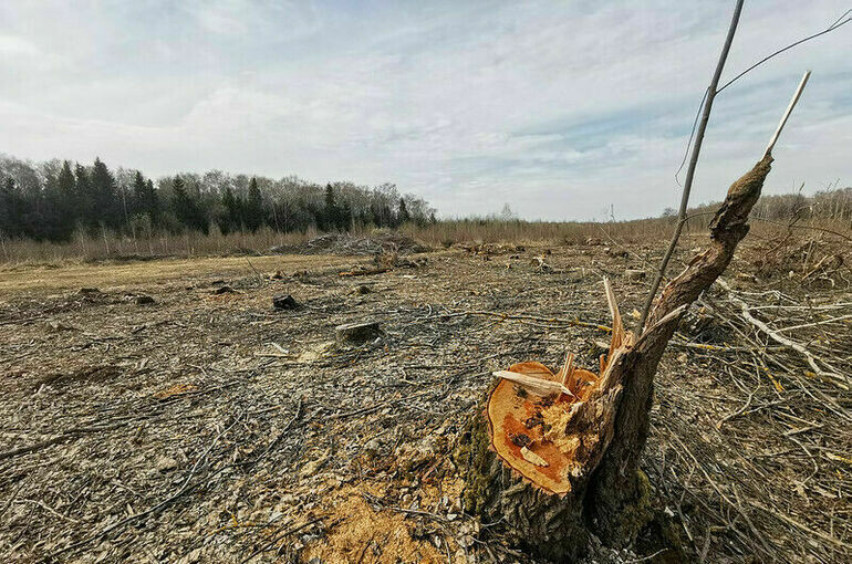   Игорь Самохвалов/ПГ